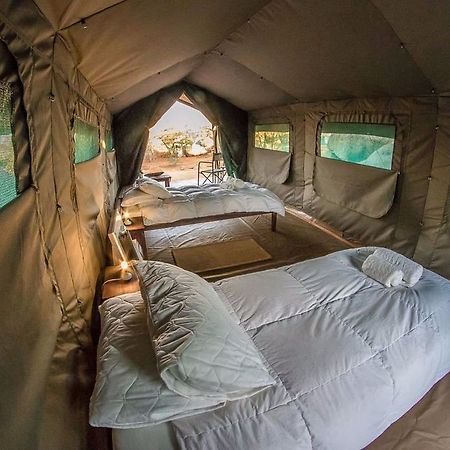 Hoada Camp Site Otel Palmwag Dış mekan fotoğraf